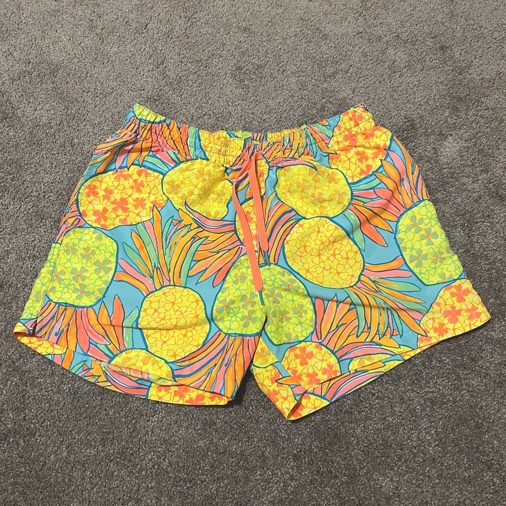 Men’s Chubbies 5.5” Swim Trunks - The Hooligans